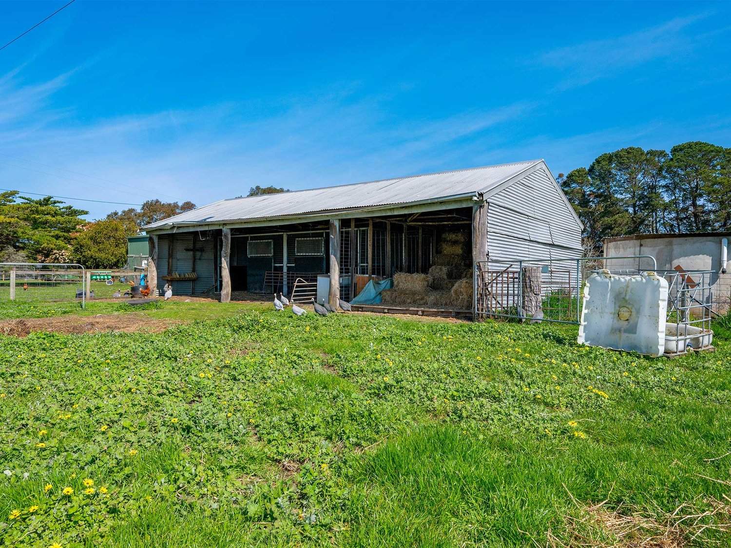 2264 Henty Highway, Cavendish For Sale by Farmbuy.com - image 25