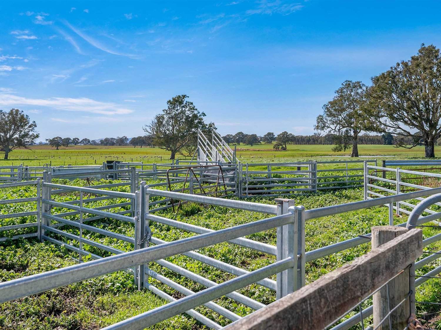 2264 Henty Highway, Cavendish For Sale by Farmbuy.com - image 27