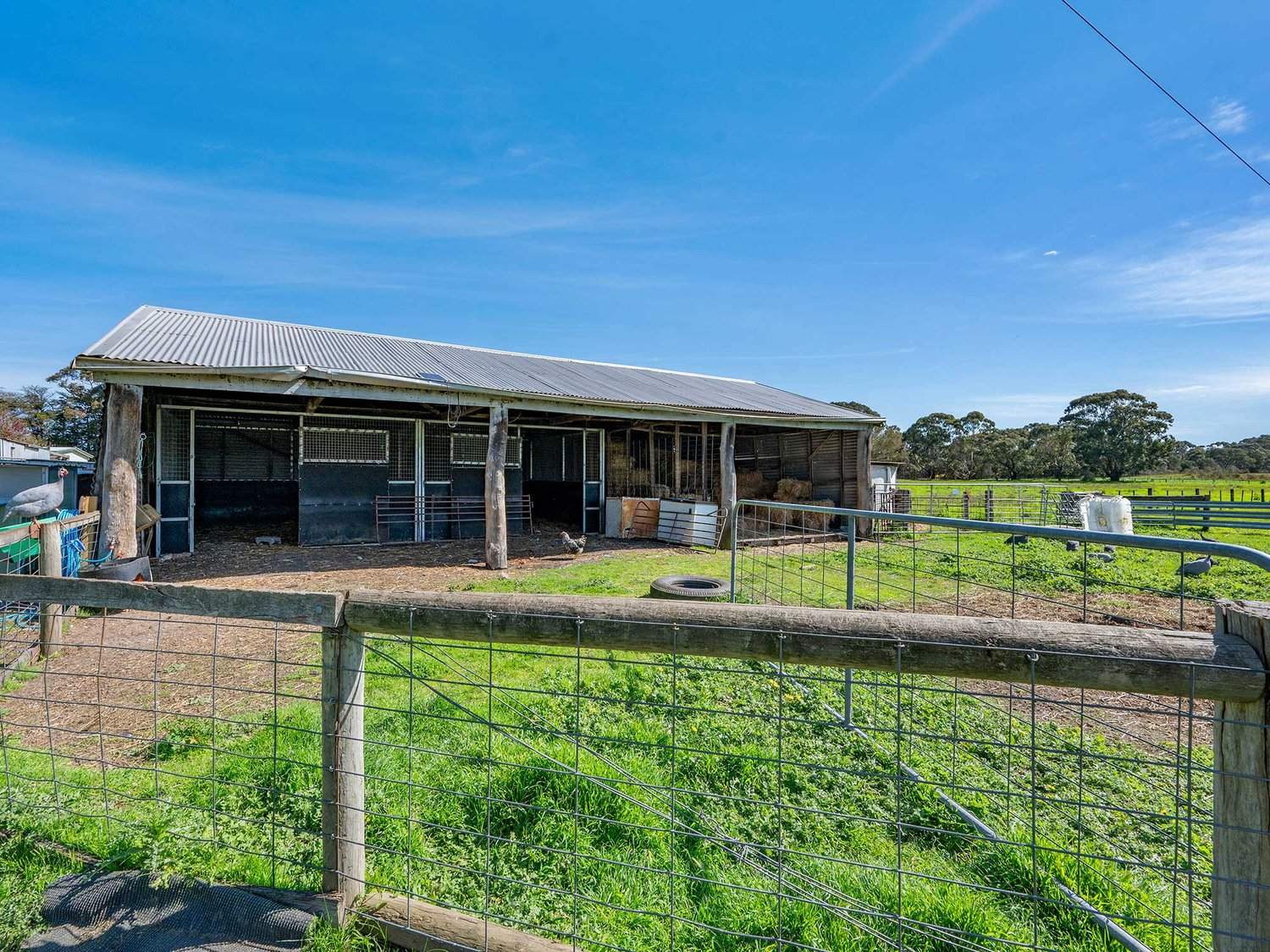 2264 Henty Highway, Cavendish For Sale by Farmbuy.com - image 24