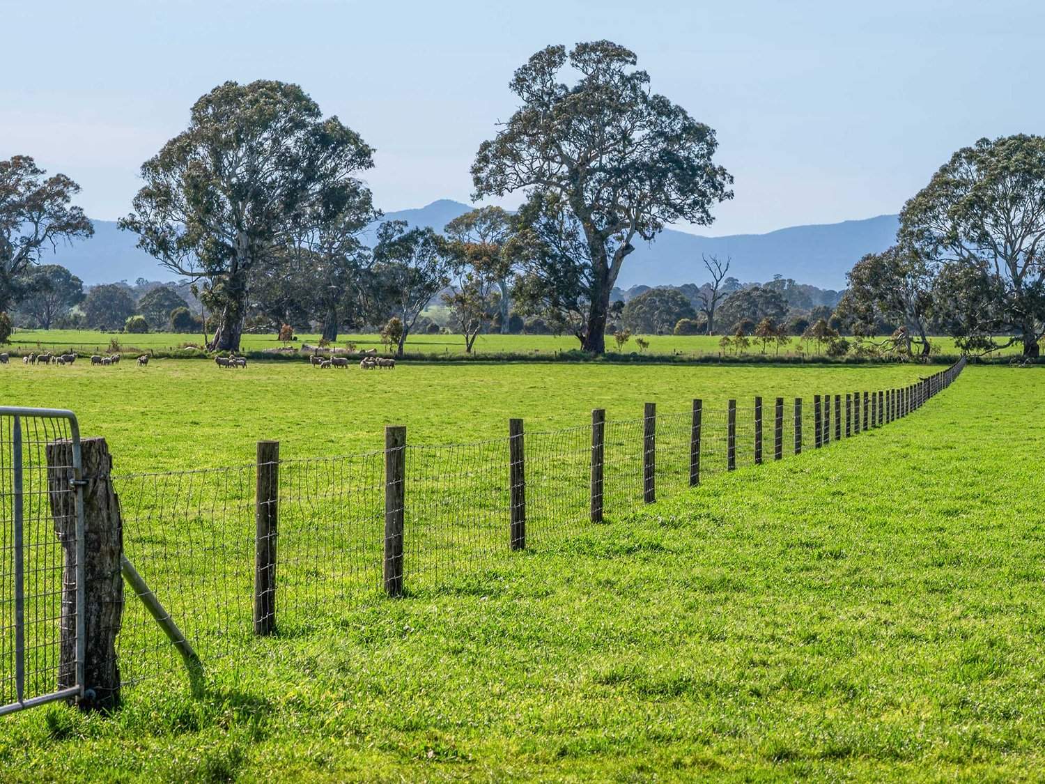 758 Coleraine - Cavendish Road, Cavendish For Sale by Farmbuy.com - image 32