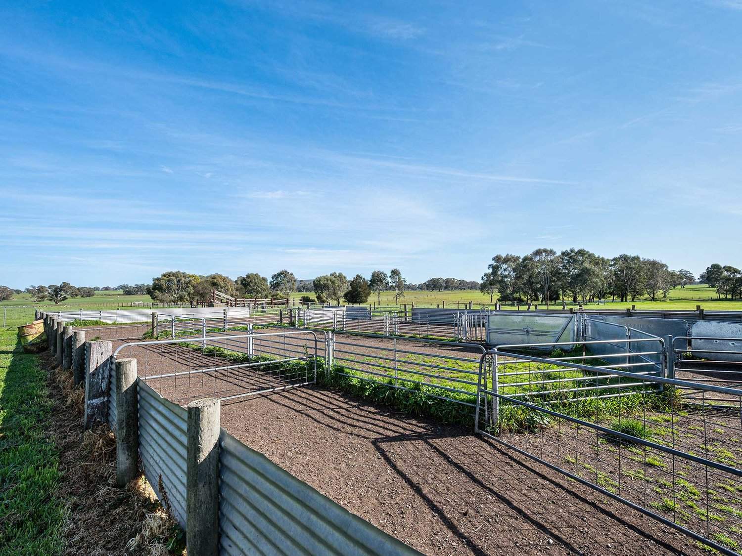 758 Coleraine - Cavendish Road, Cavendish For Sale by Farmbuy.com - image 26