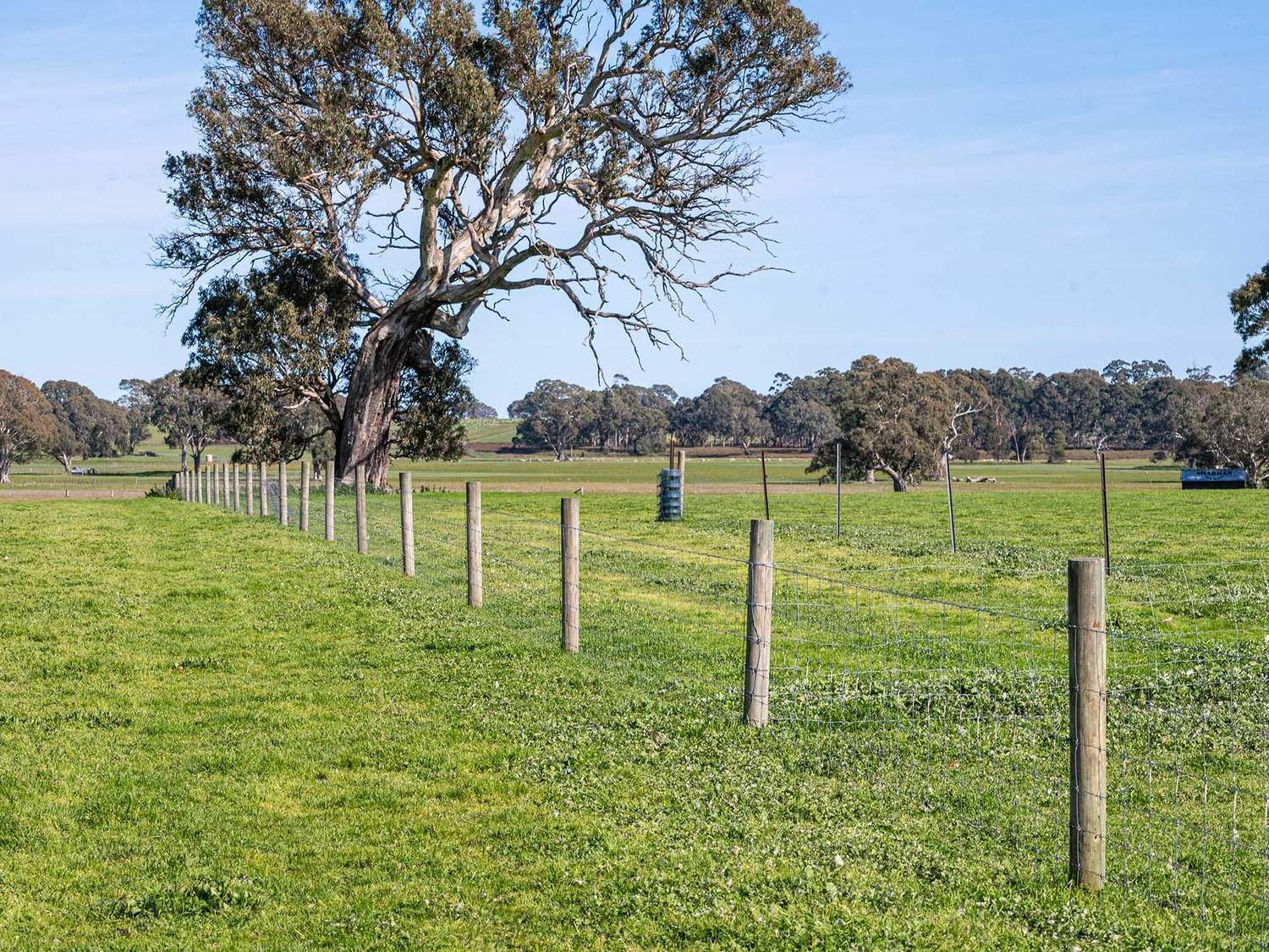758 Coleraine - Cavendish Road, Cavendish For Sale by Farmbuy.com - image 30