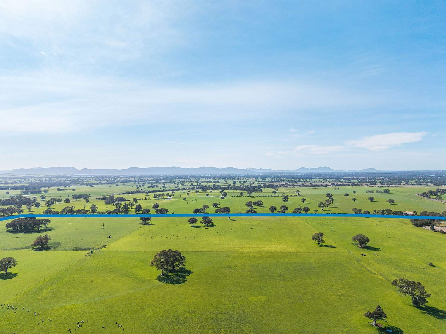 758 Coleraine - Cavendish Road, Cavendish For Sale by Farmbuy.com - image 17