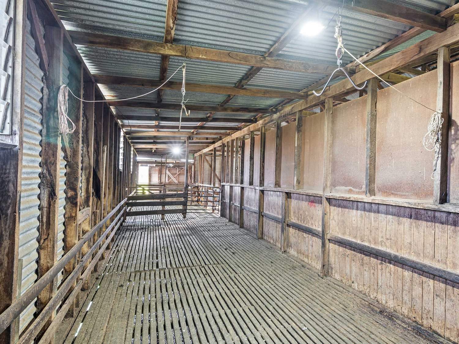 758 Coleraine - Cavendish Road, Cavendish For Sale by Farmbuy.com - image 24
