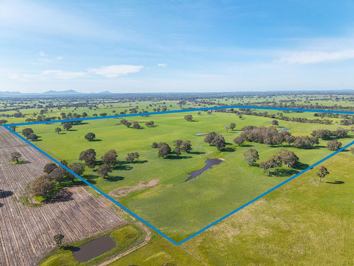 758 Coleraine - Cavendish Road, Cavendish For Sale by Farmbuy.com - image 4