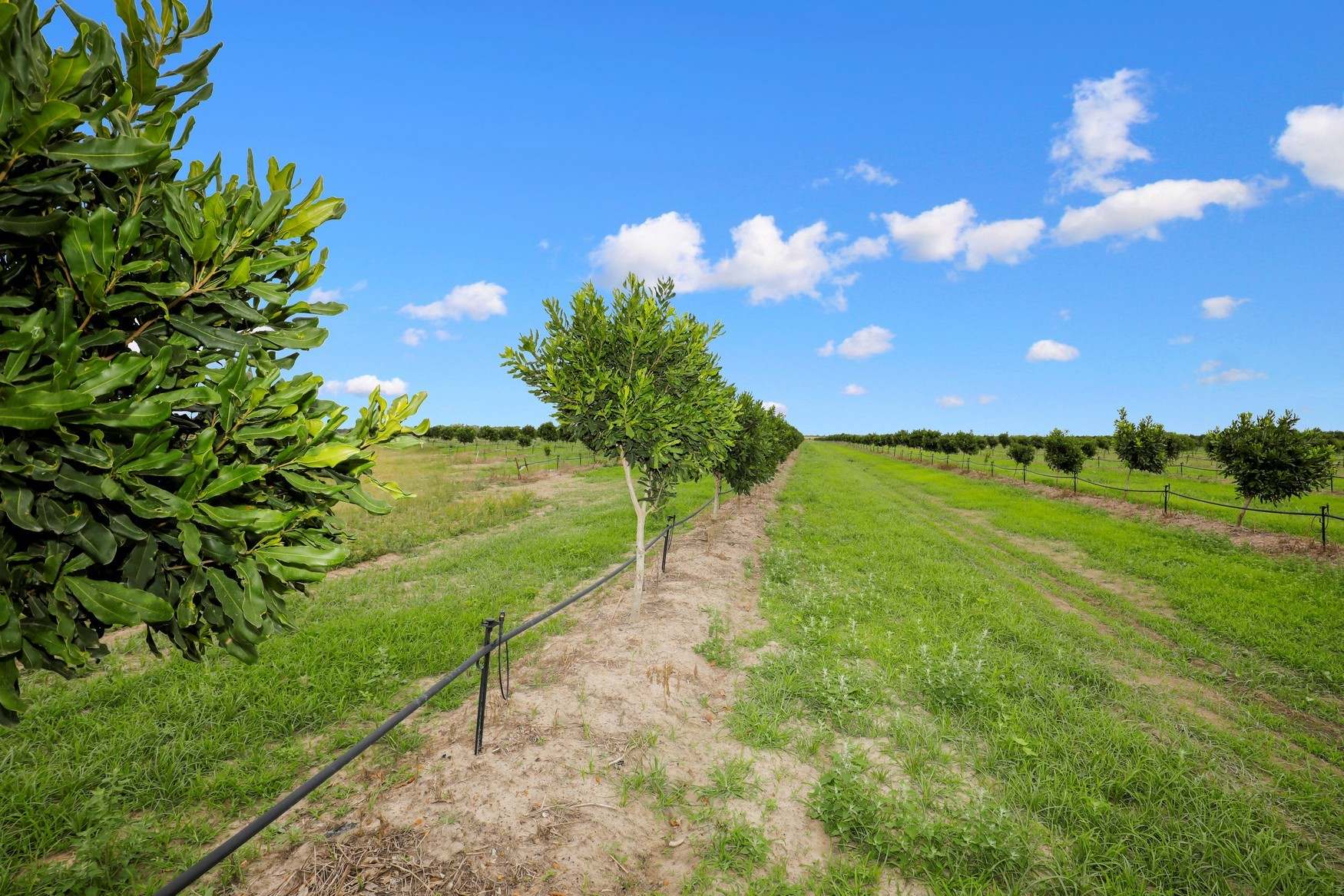 43 New Valley Road, Alloway For Sale by Farmbuy.com - image 7