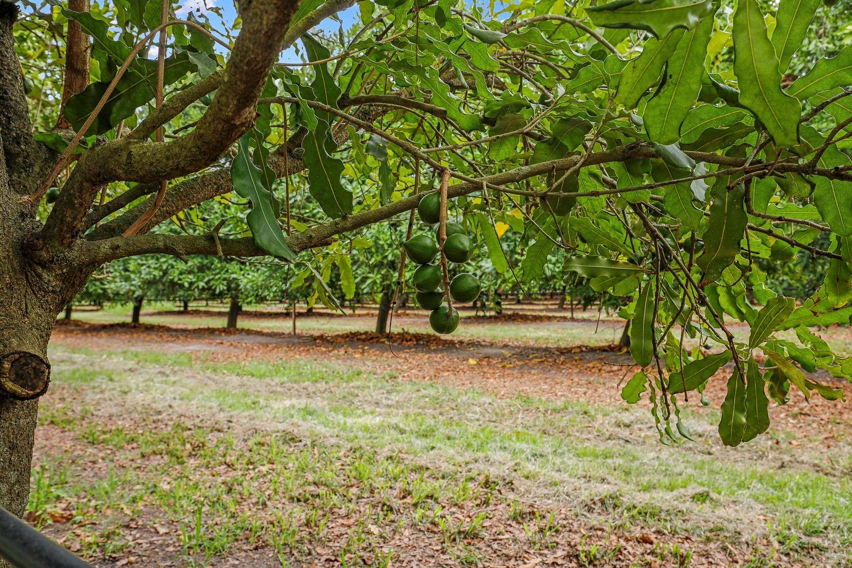 43 New Valley Road, Alloway For Sale by Farmbuy.com - image 8