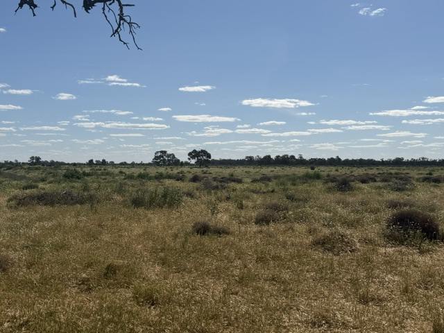 116 Maxwell Road, Milnes Bridge For Sale by Farmbuy.com - image 10