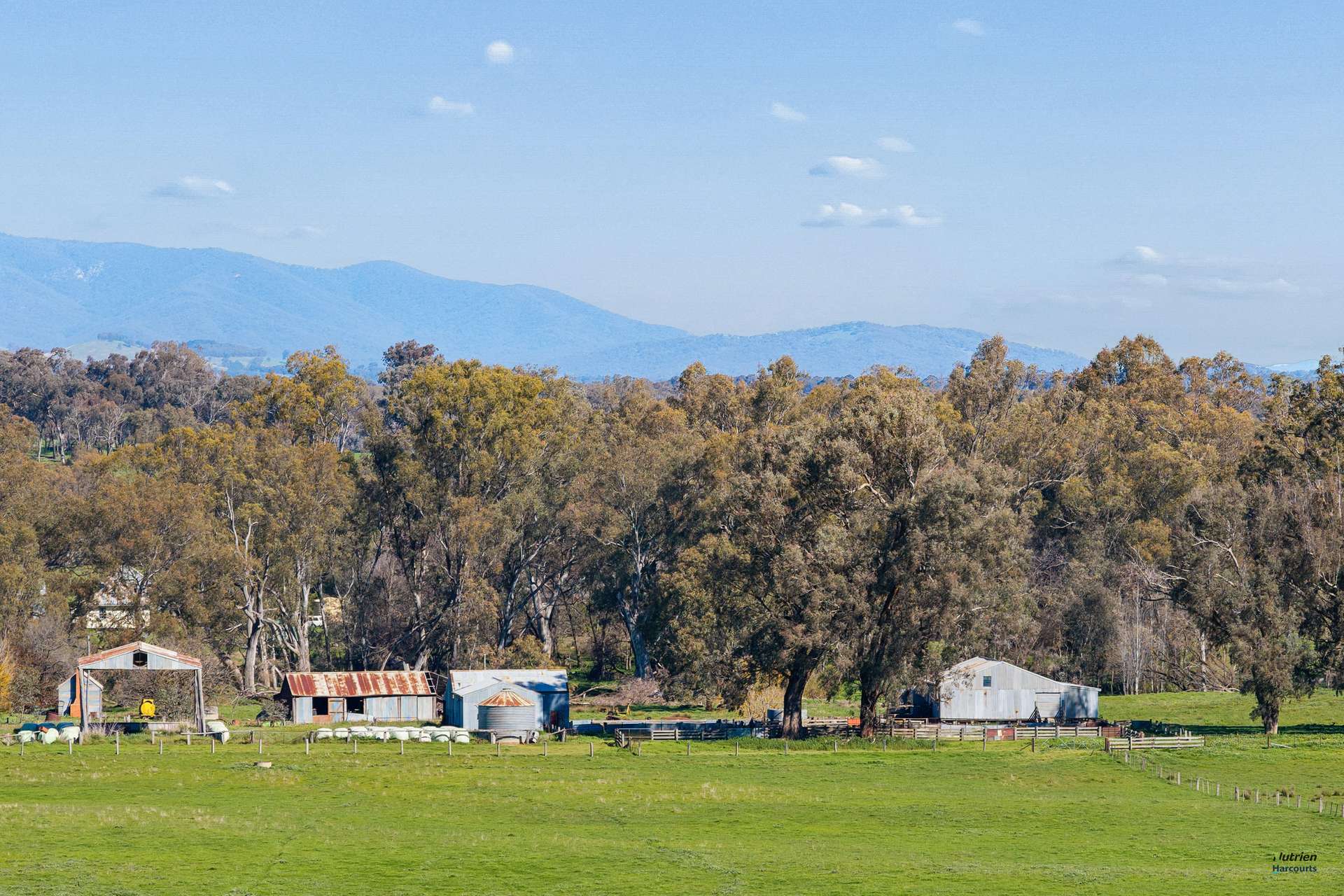 1028 Kilfeera Road, Benalla For Sale by Farmbuy.com - image 7