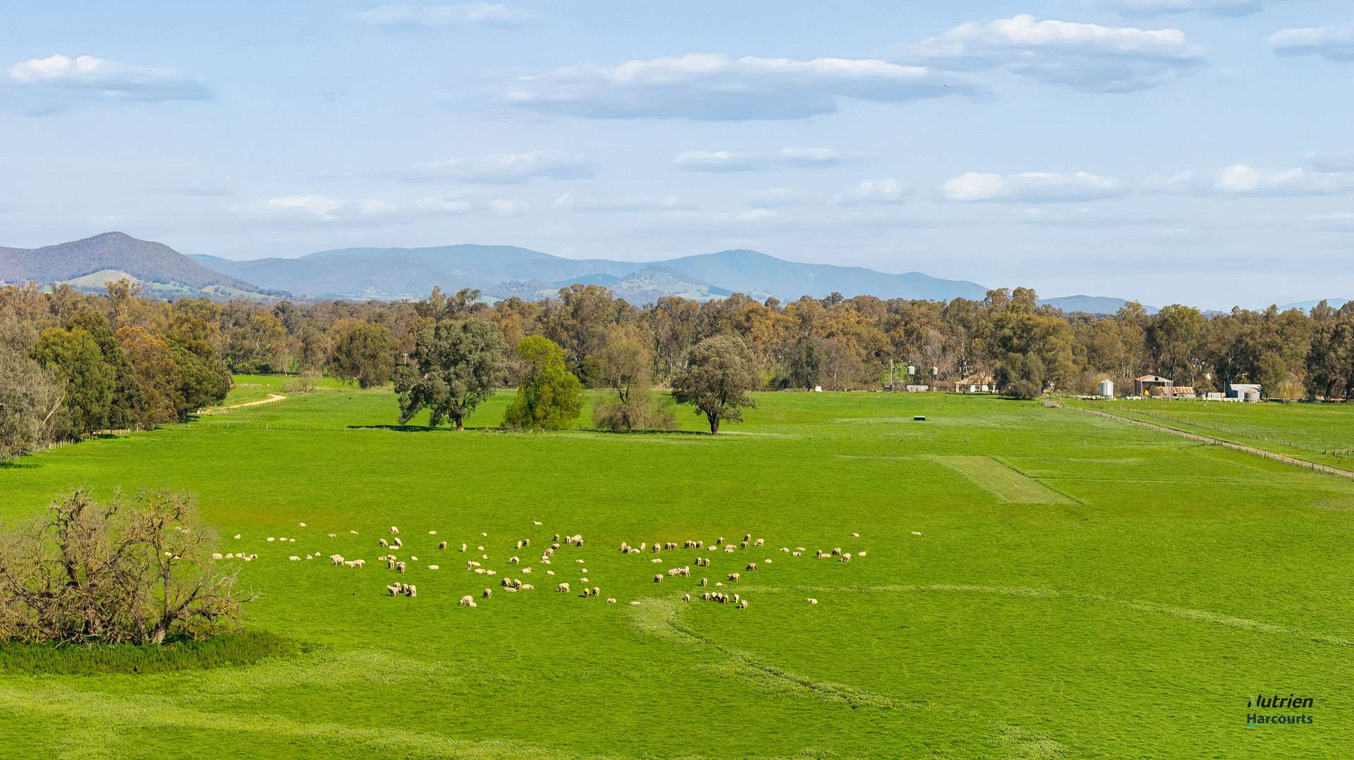 1028 Kilfeera Road, Benalla For Sale by Farmbuy.com - image 2