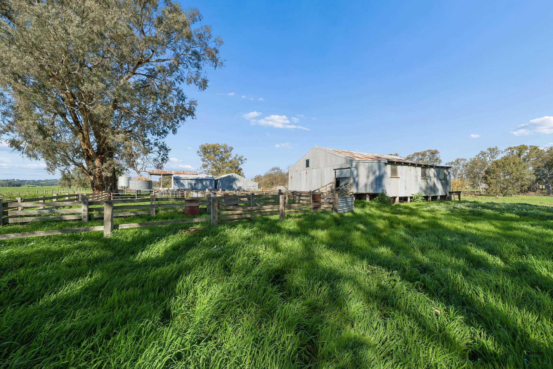 1028 Kilfeera Road, Benalla For Sale by Farmbuy.com - image 10