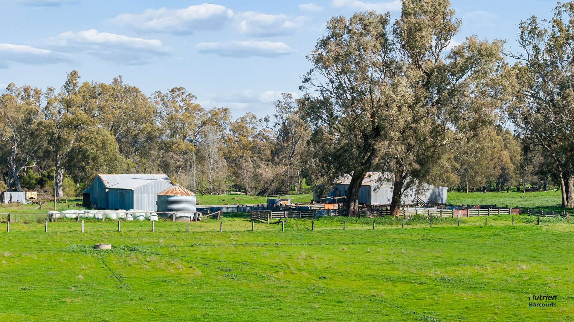 1028 Kilfeera Road, Benalla For Sale by Farmbuy.com - image 6