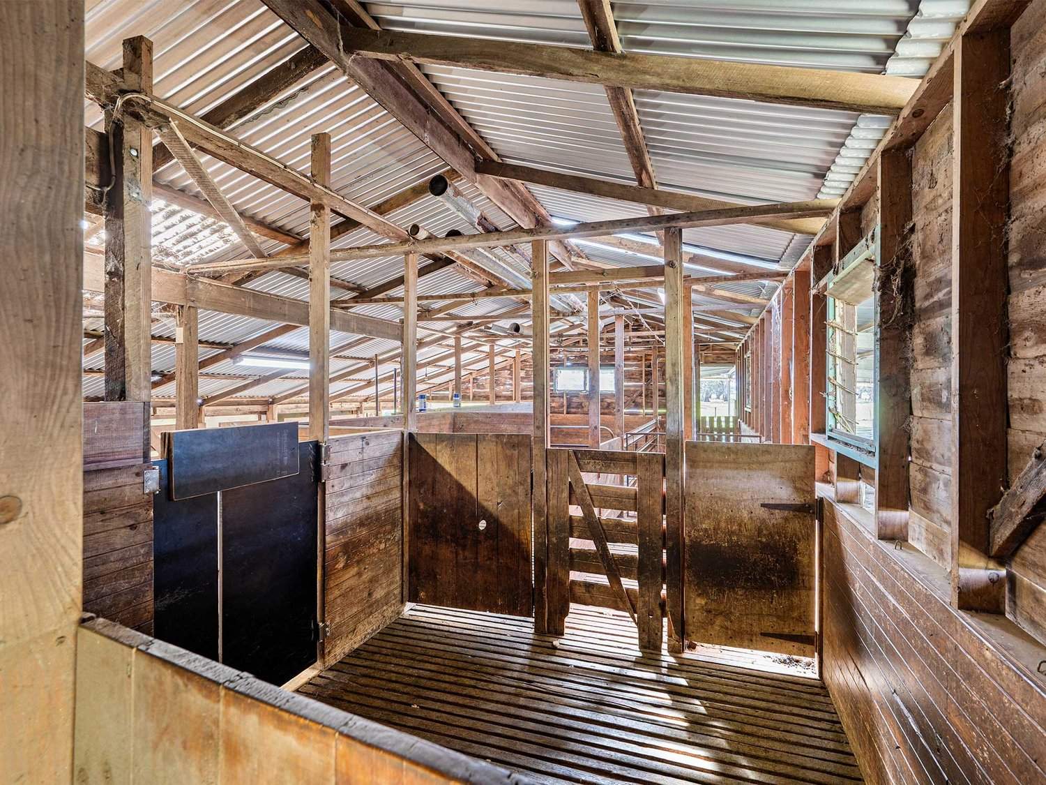 77 Clarke Street, Branxholme For Sale by Farmbuy.com - image 29