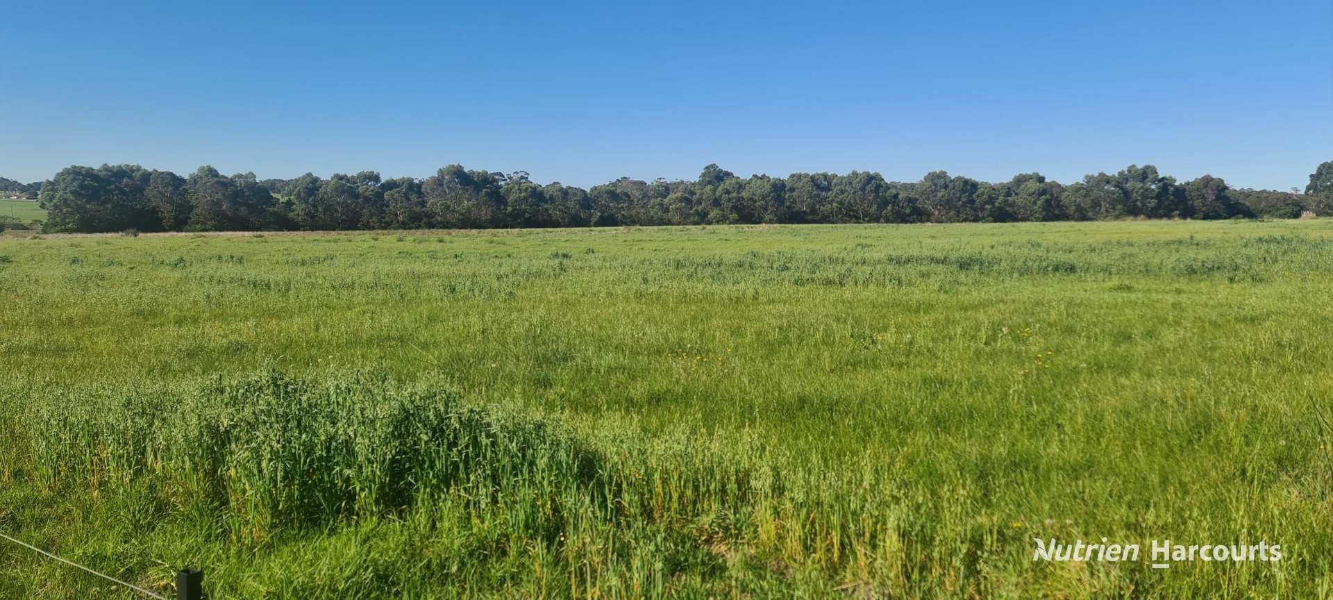 Lot B Negri Road, Willyung Sold by Farmbuy.com - image 2
