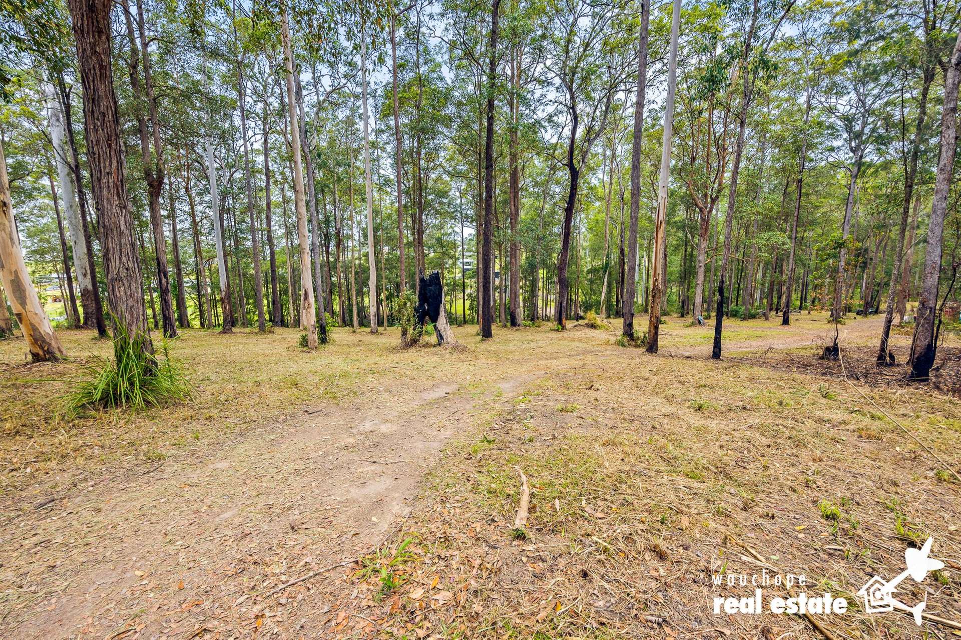Beechwood For Sale by Farmbuy.com - image 24