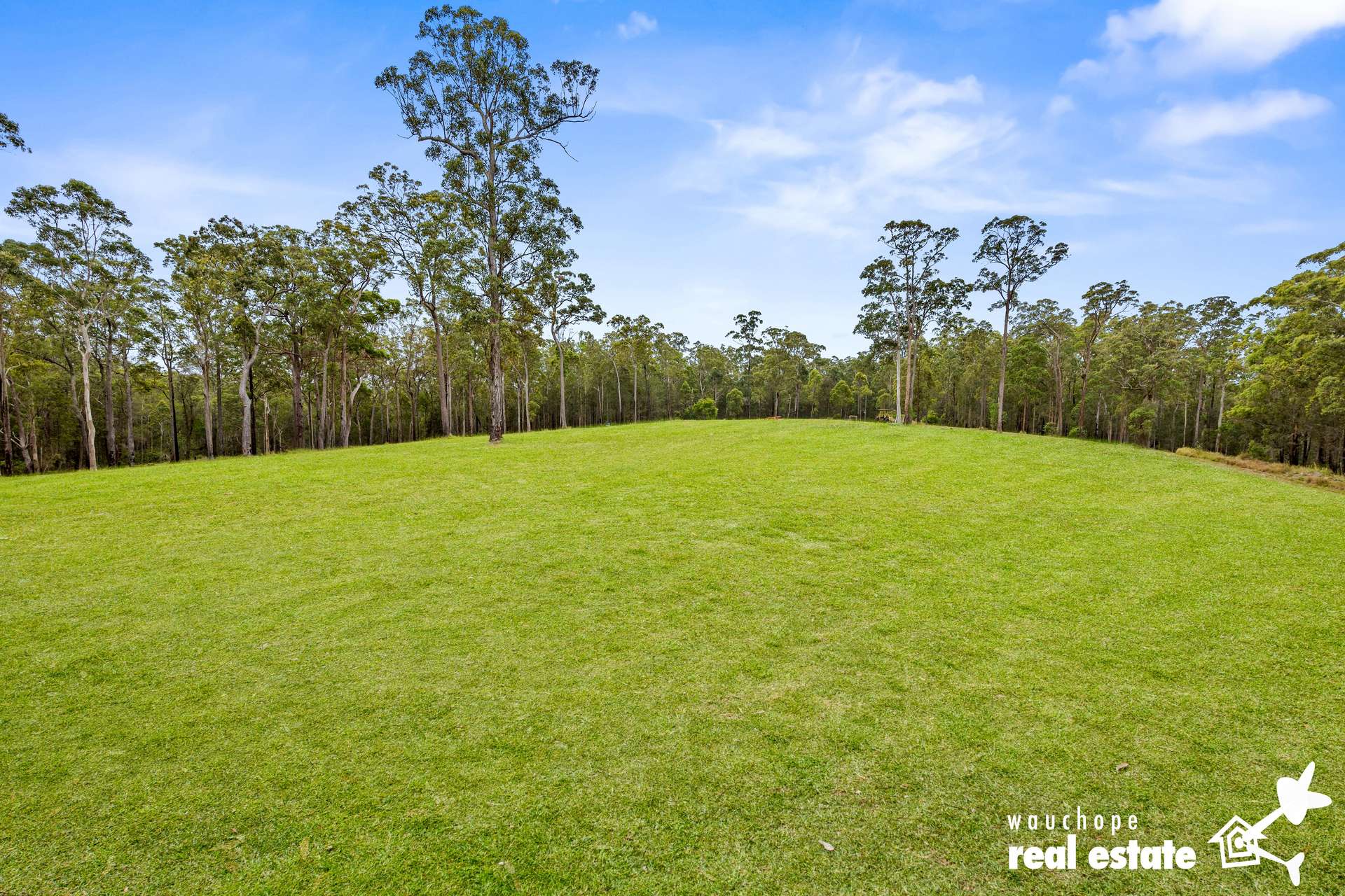 Beechwood For Sale by Farmbuy.com - image 22