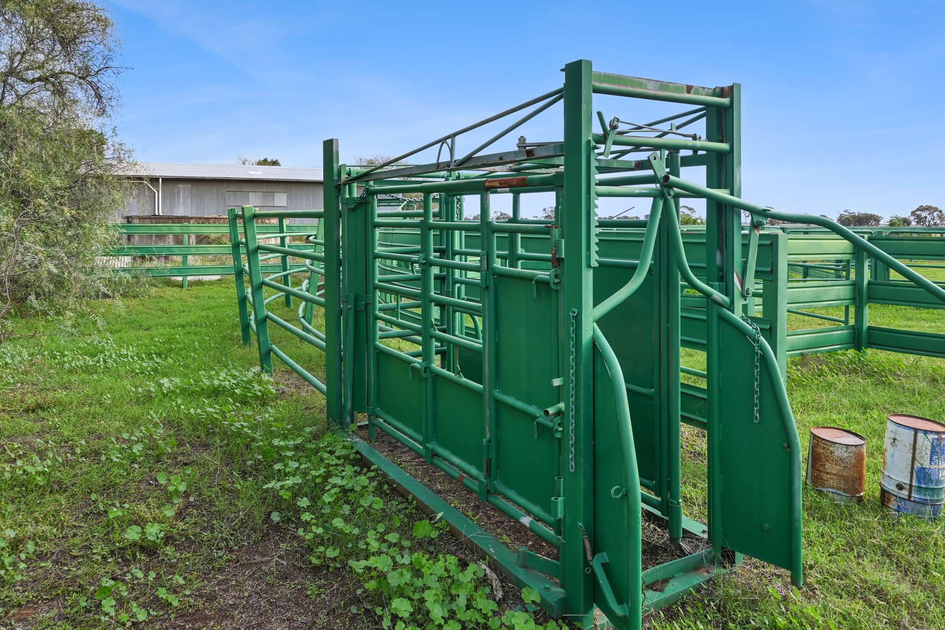 Part, 397 Craigie Lea Lane, Narromine For Sale by Farmbuy.com - image 10