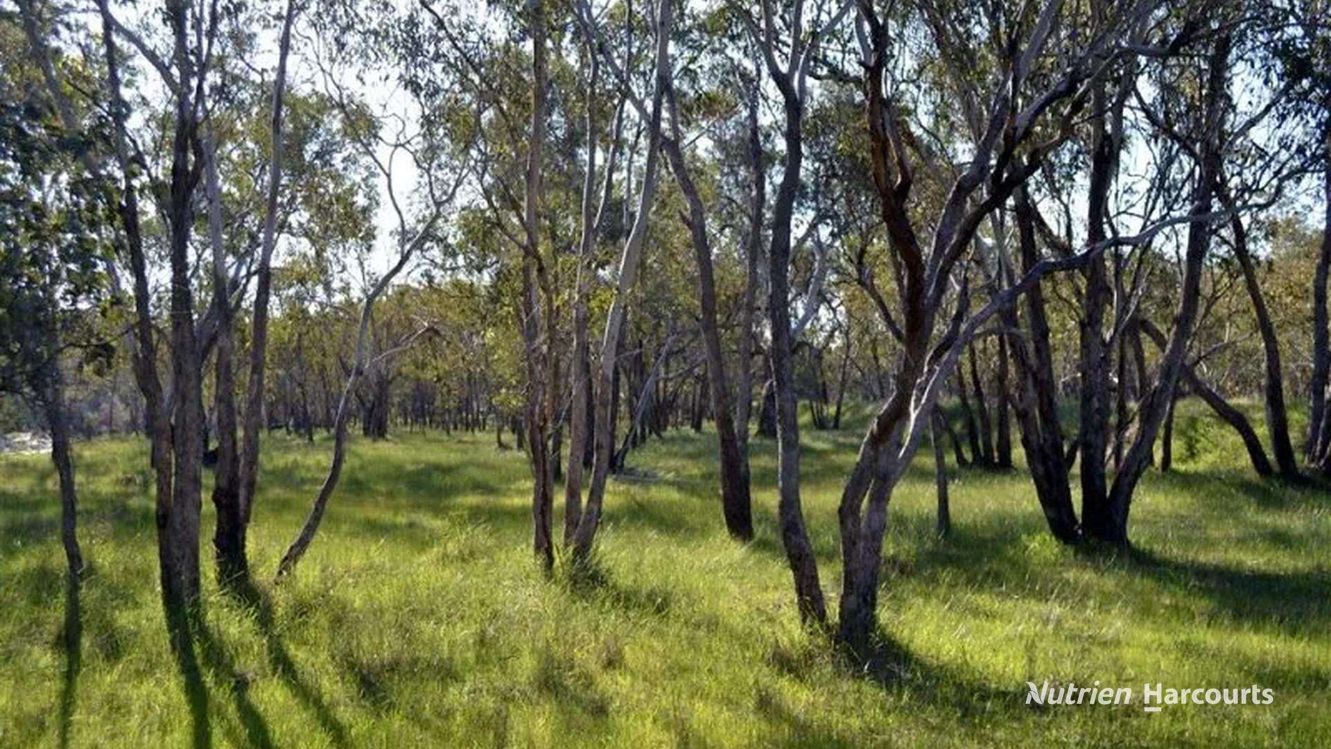 Gingin For Sale by Farmbuy.com - image 12
