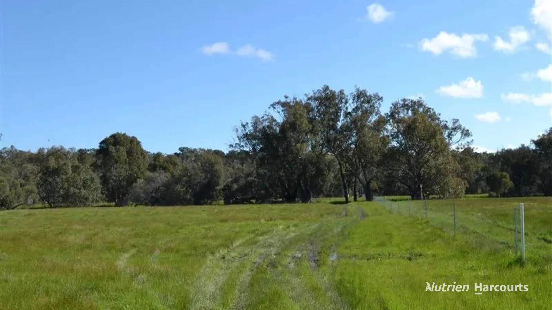 Gingin For Sale by Farmbuy.com - image 6