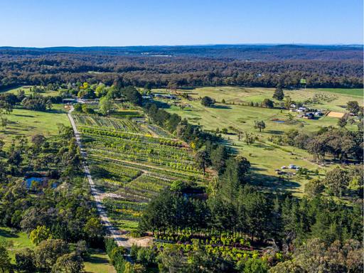 Farm For Sale - NSW - Canyonleigh - 2577 - Business, Property & Lifestyle Acquisition Opportunity 