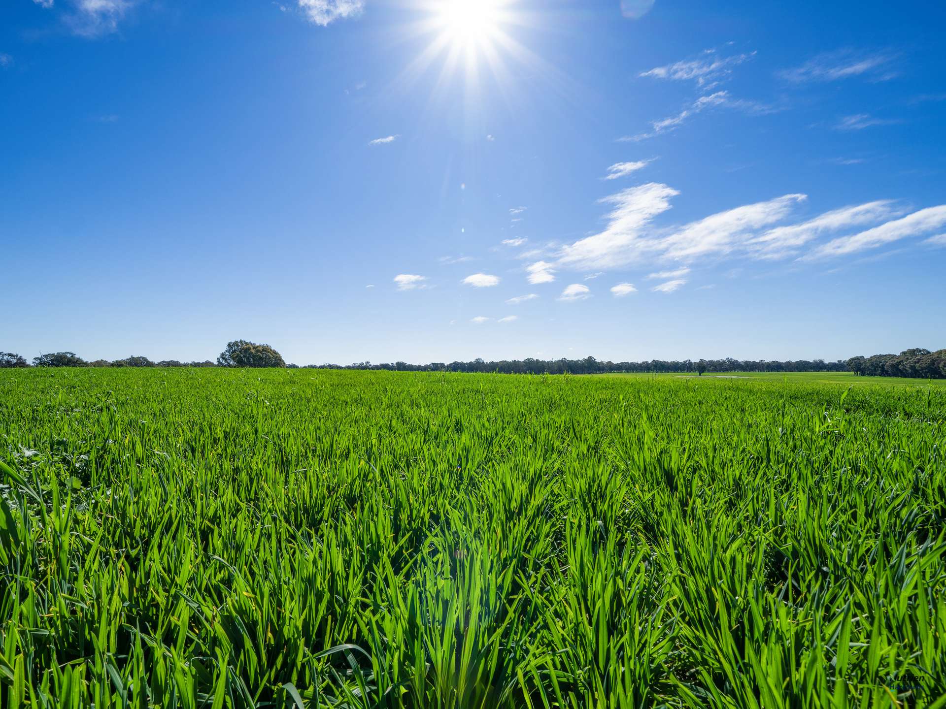 Cnr Kilfeera Rd & Old Lurg Rd, Lurg For Sale by Farmbuy.com - image 2