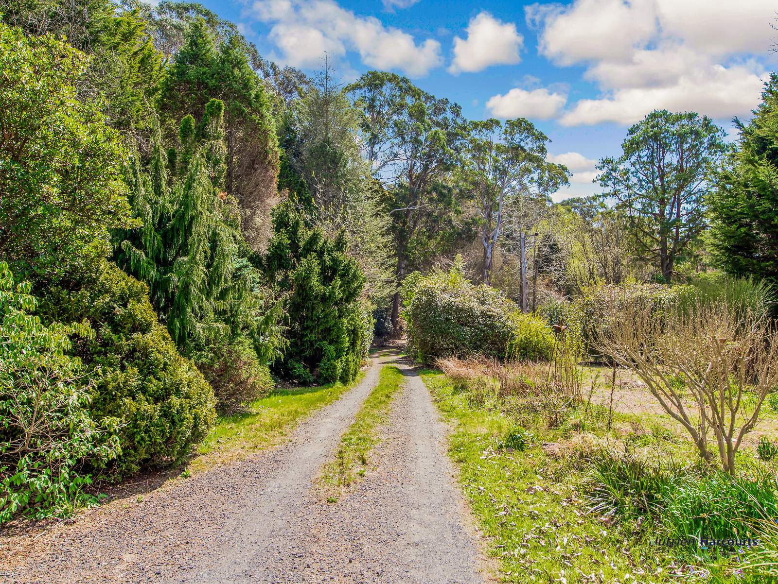4972 Kings Highway, Monga For Sale by Farmbuy.com - image 35