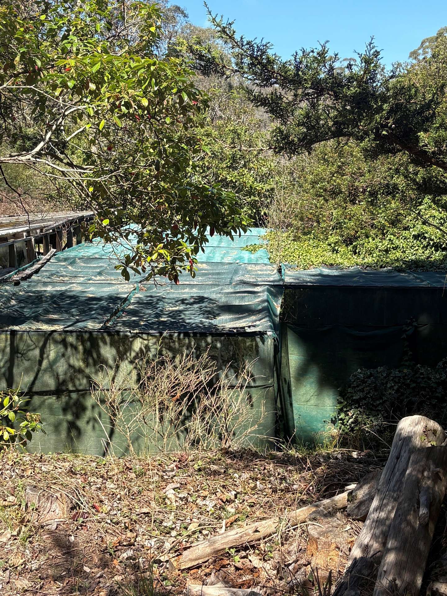 4972 Kings Highway, Monga For Sale by Farmbuy.com - image 16