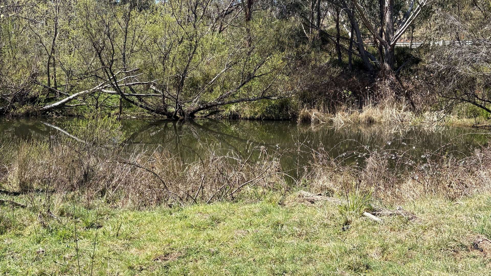 4972 Kings Highway, Monga For Sale by Farmbuy.com - image 18