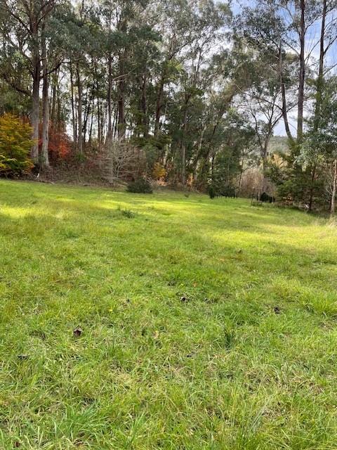4972 Kings Highway, Monga For Sale by Farmbuy.com - image 10