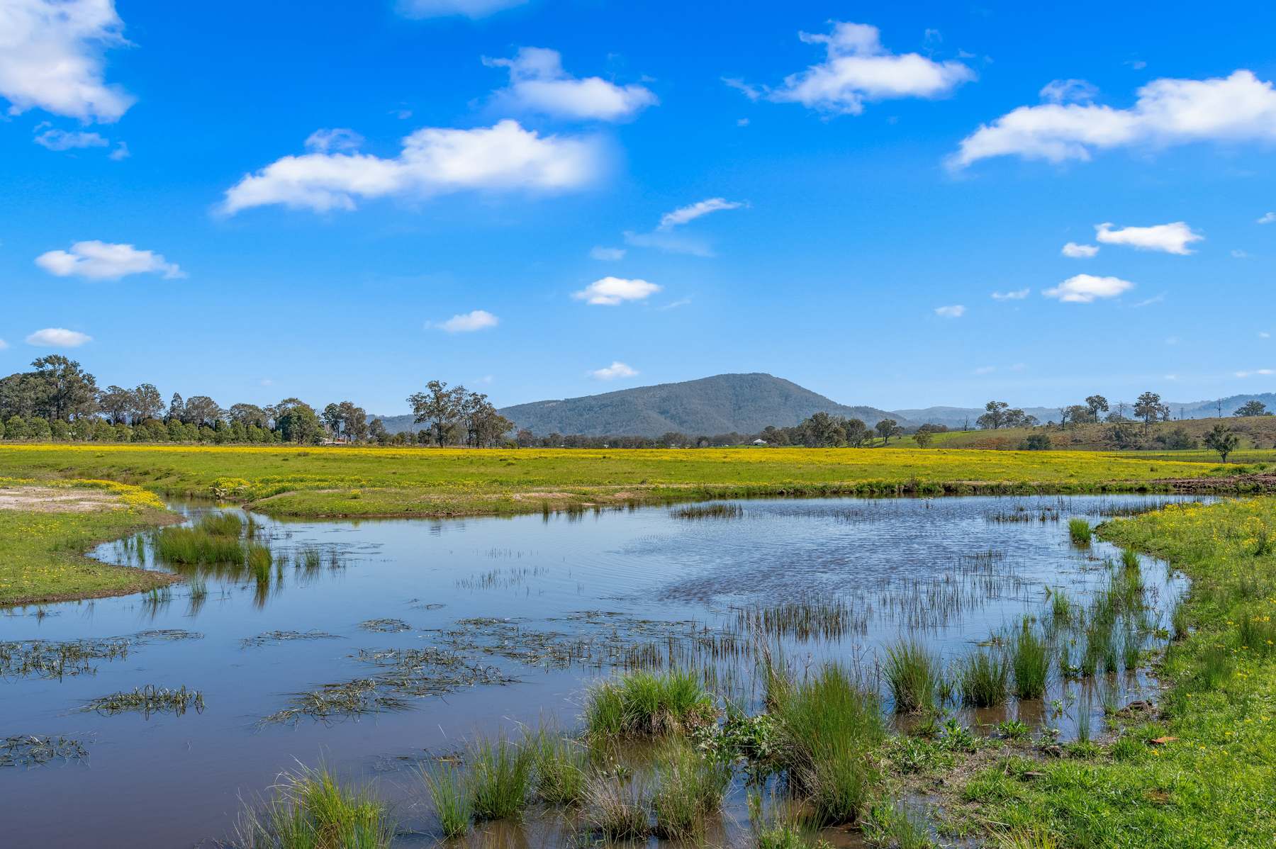 204 Horns Crossing Road, Vacy Auction by Farmbuy.com - image 28