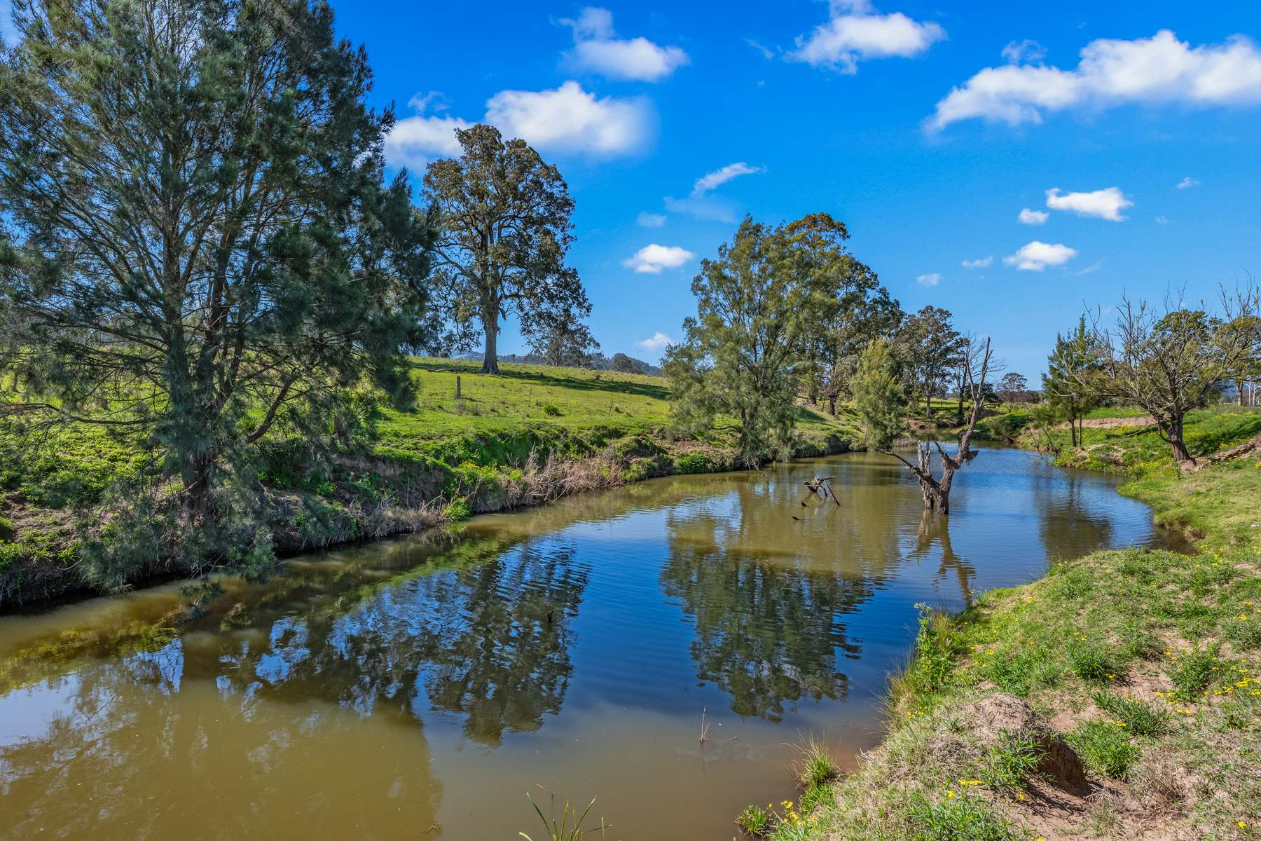 204 Horns Crossing Road, Vacy Auction by Farmbuy.com - image 29