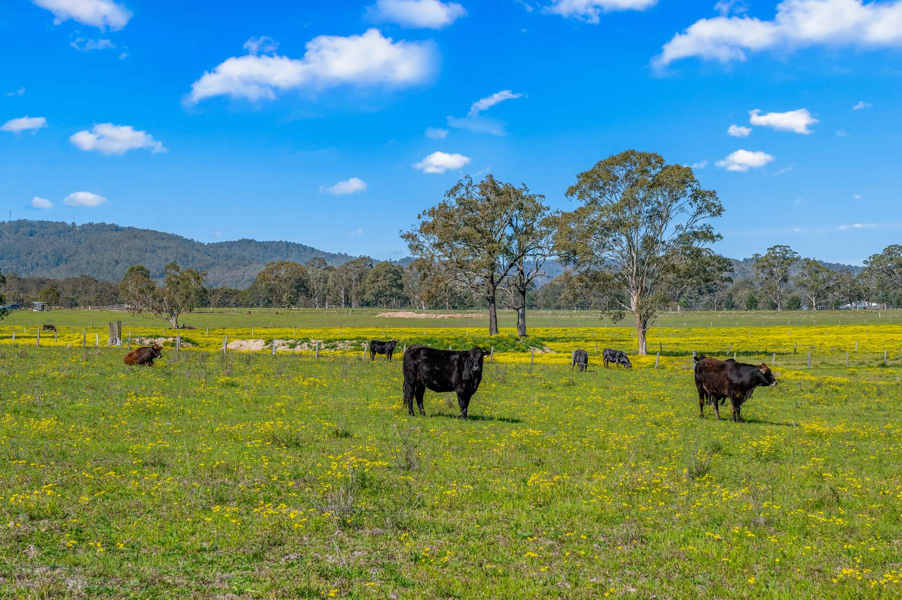 204 Horns Crossing Road, Vacy Auction by Farmbuy.com - image 8