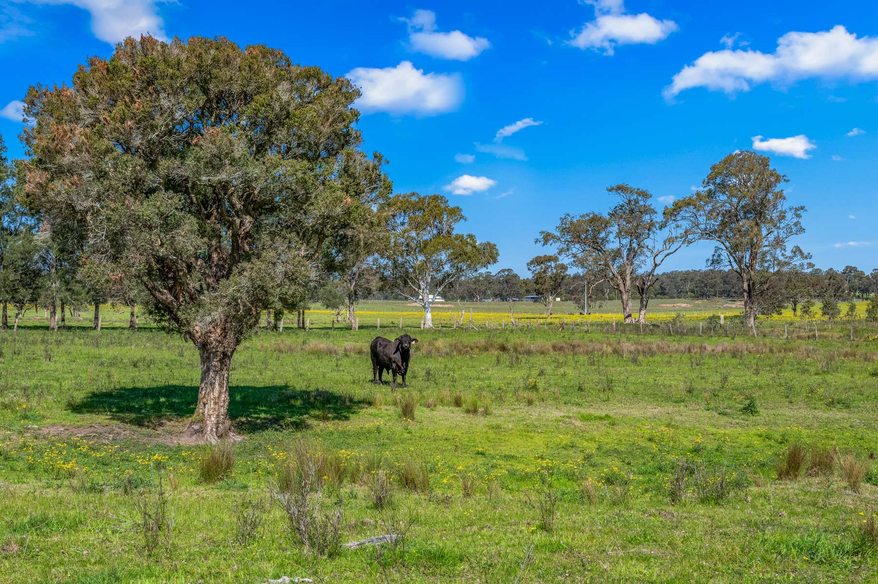 204 Horns Crossing Road, Vacy Auction by Farmbuy.com - image 31