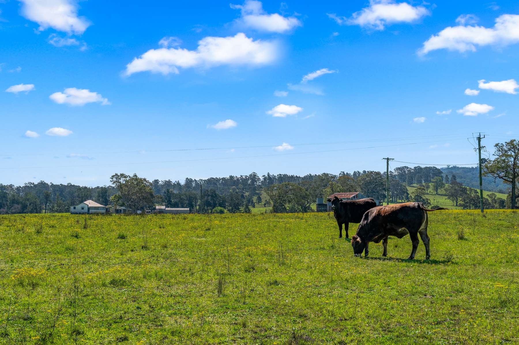 204 Horns Crossing Road, Vacy Auction by Farmbuy.com - image 30