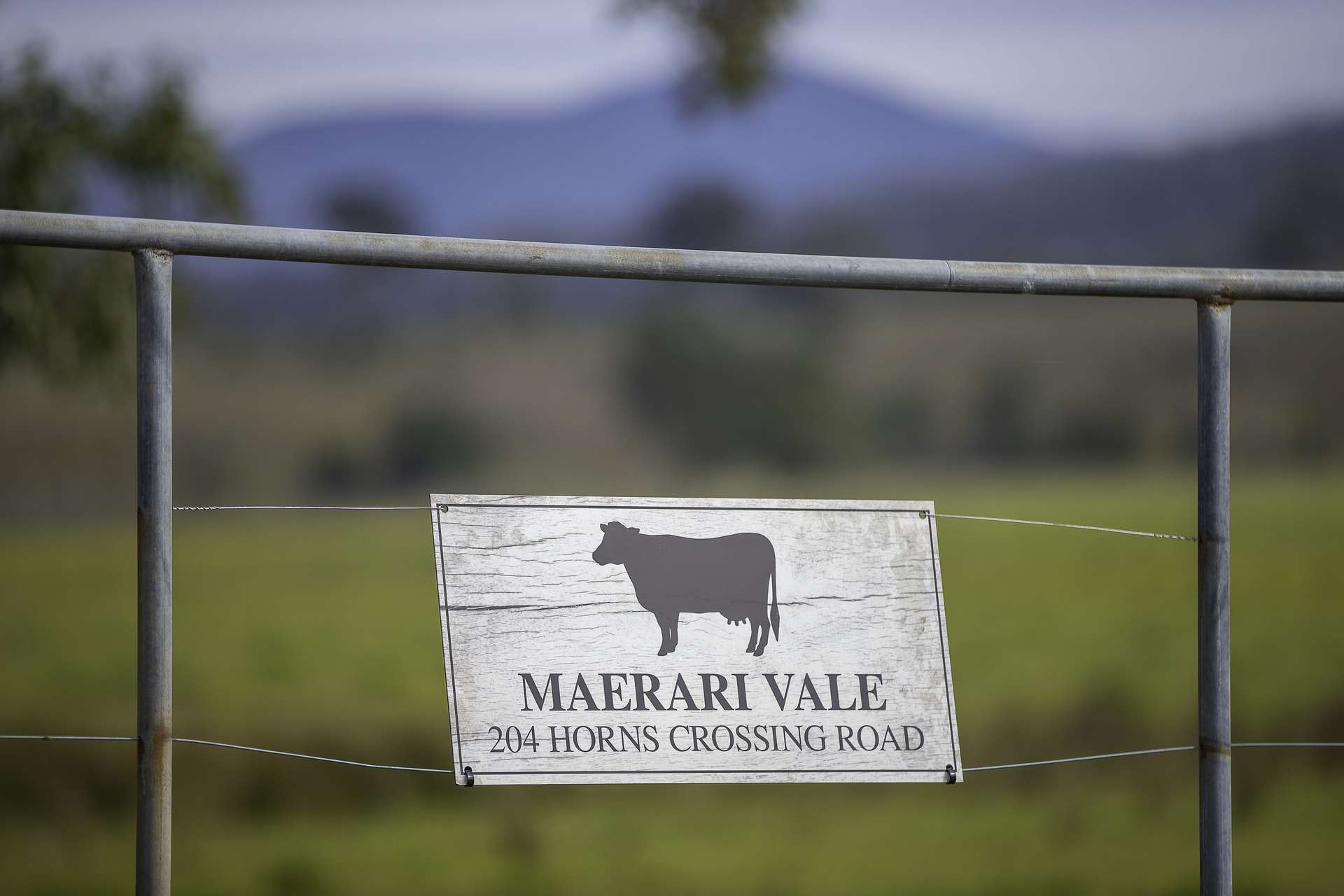 204 Horns Crossing Road, Vacy Auction by Farmbuy.com - image 5