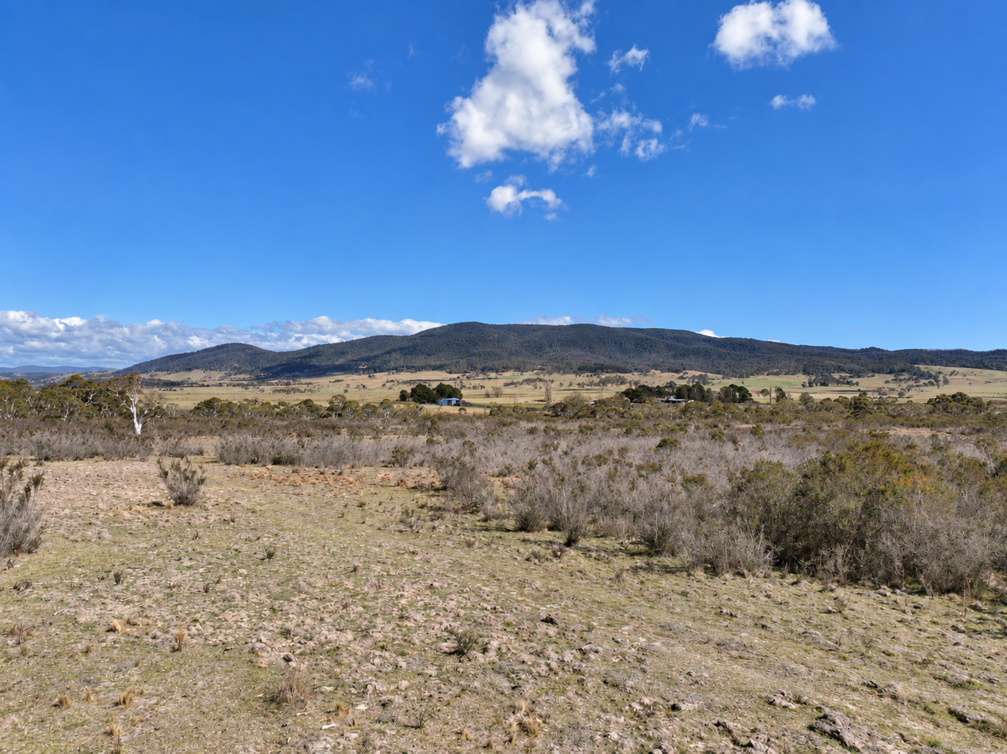 Lot 207 Burkes Hills Road, Braidwood For Sale by Farmbuy.com - image 8