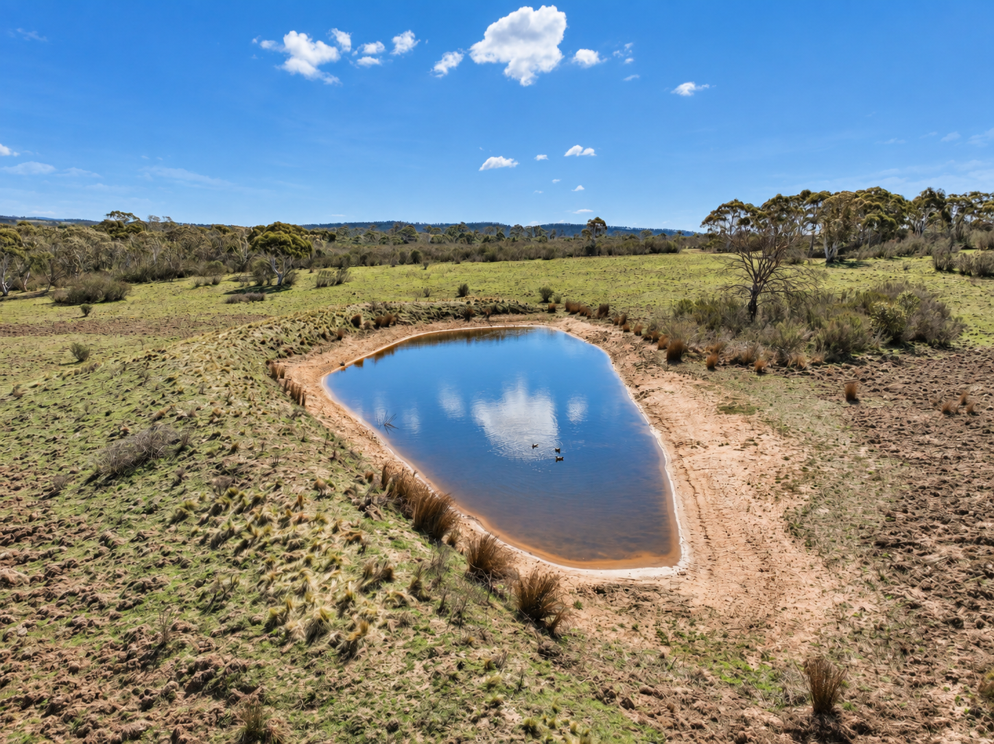 Lot 207 Burkes Hills Road, Braidwood For Sale by Farmbuy.com - image 4