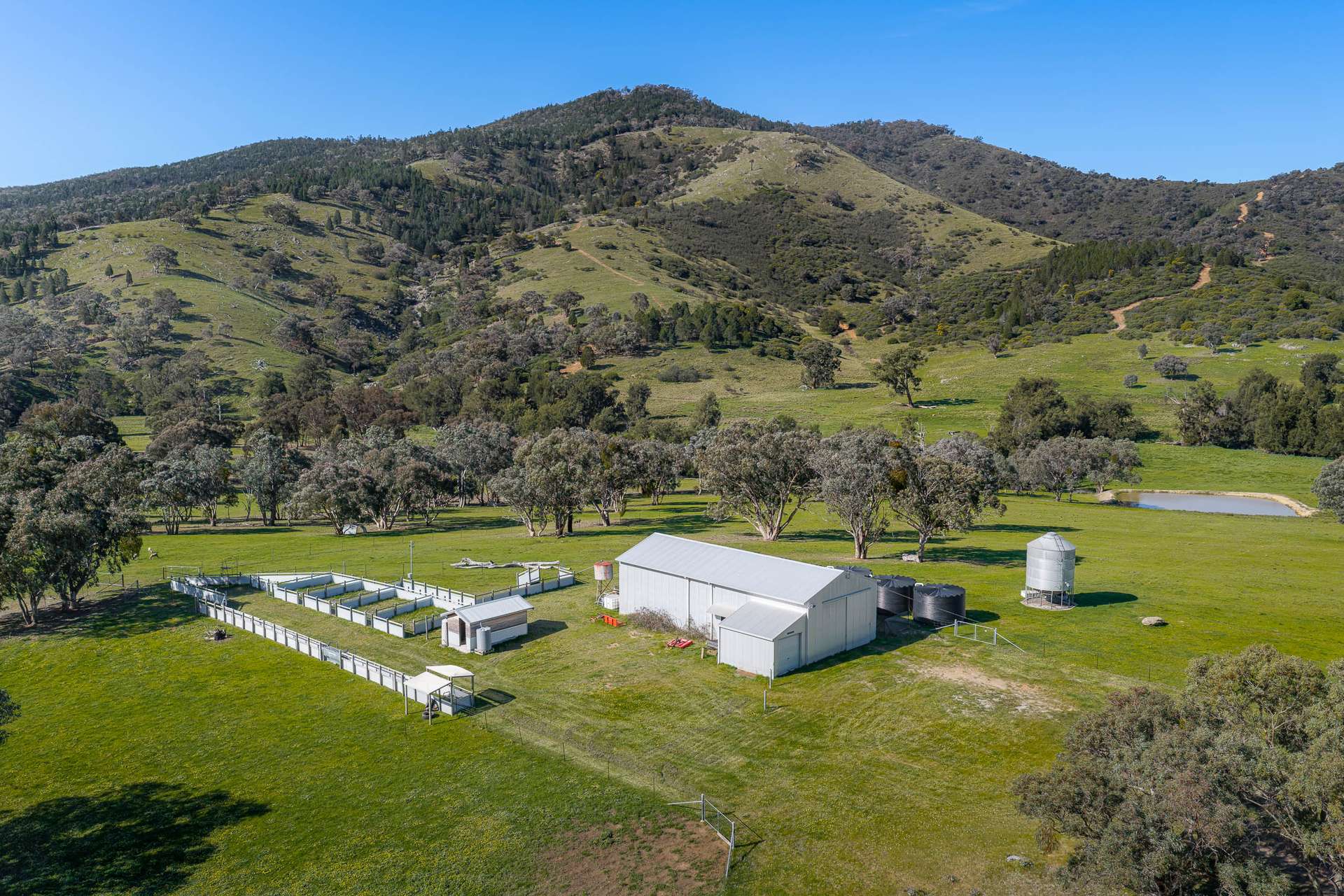 2246 Greenmantle Road, Bigga Auction by Farmbuy.com - image 17