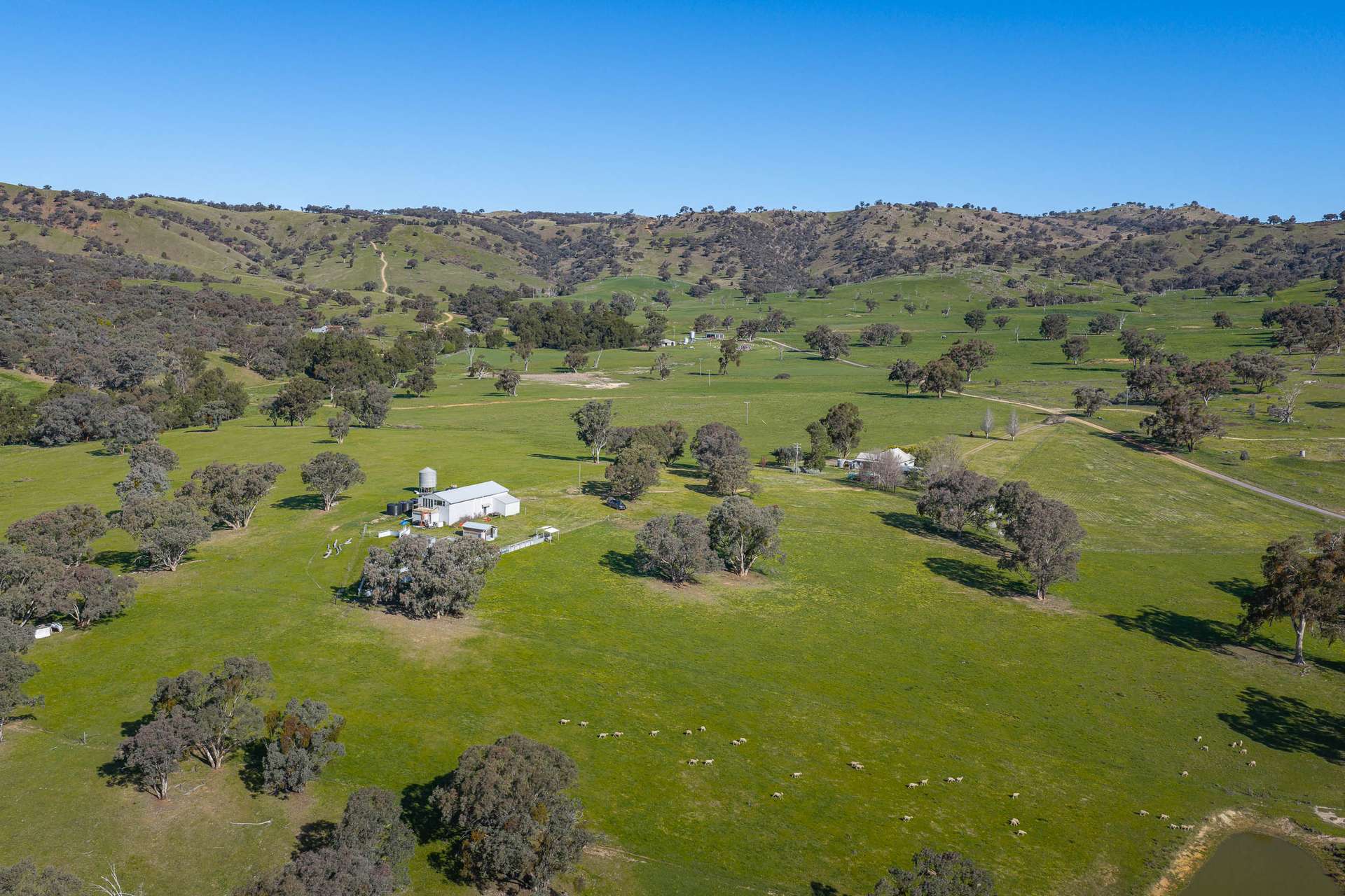 2246 Greenmantle Road, Bigga Auction by Farmbuy.com - image 18