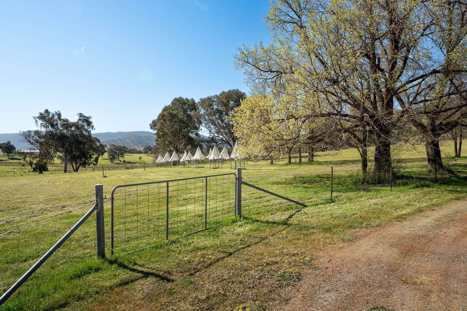 2246 Greenmantle Road, Bigga Auction by Farmbuy.com - image 12