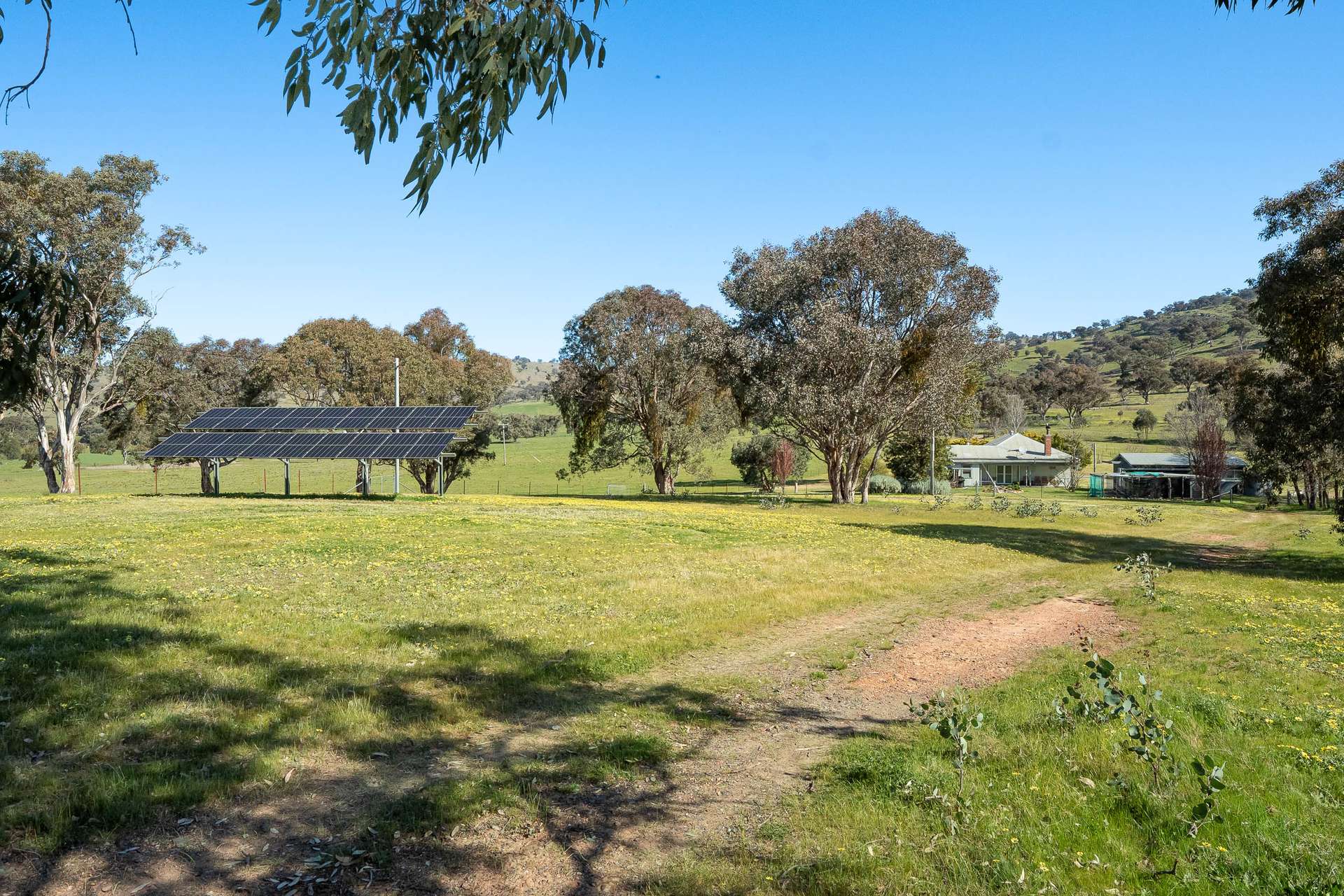 2246 Greenmantle Road, Bigga Auction by Farmbuy.com - image 13