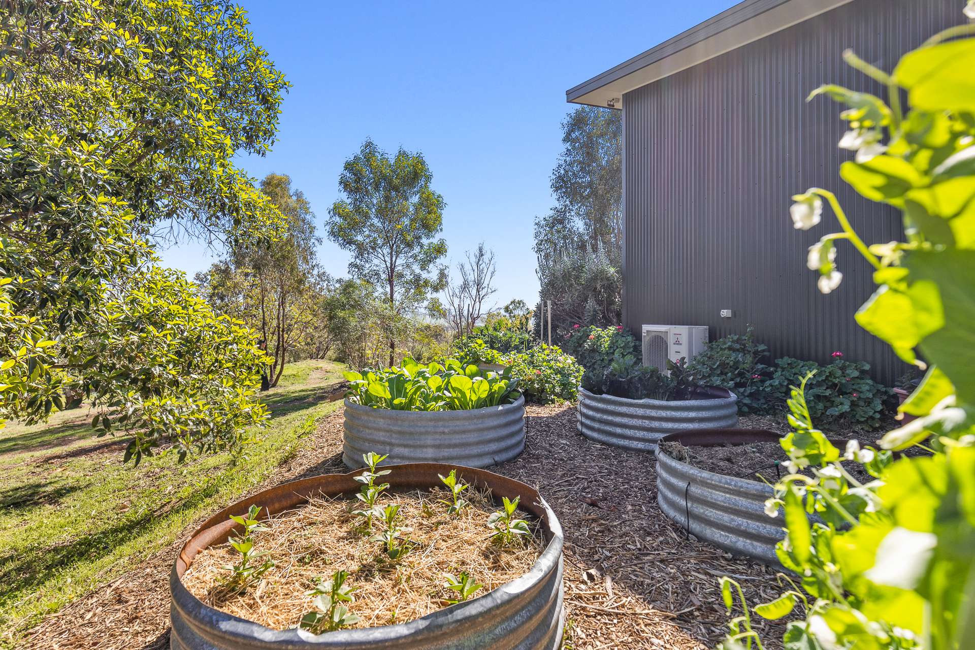 114 Bobadah Road, Mudgee For Sale by Farmbuy.com - image 17
