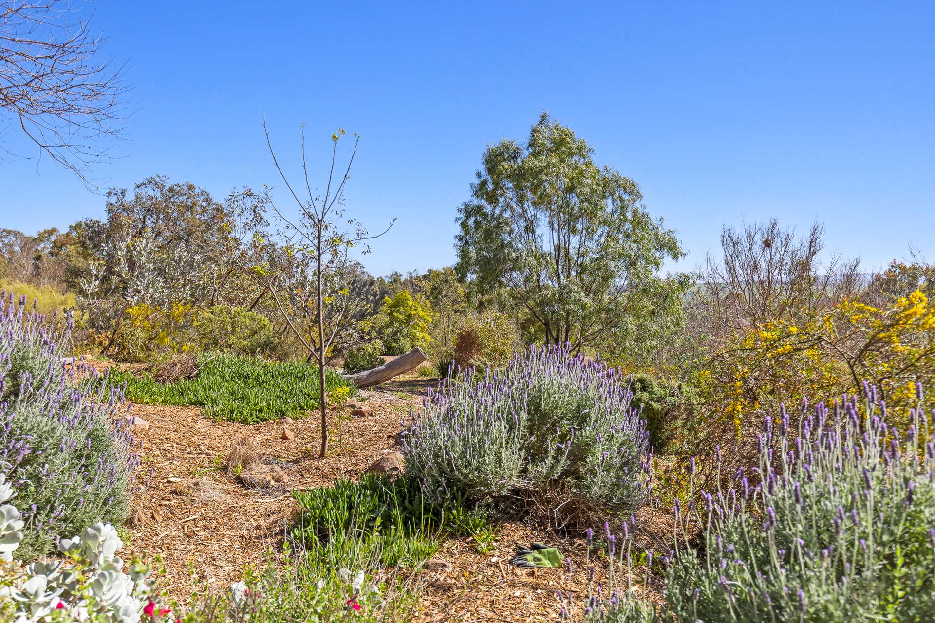 114 Bobadah Road, Mudgee For Sale by Farmbuy.com - image 18