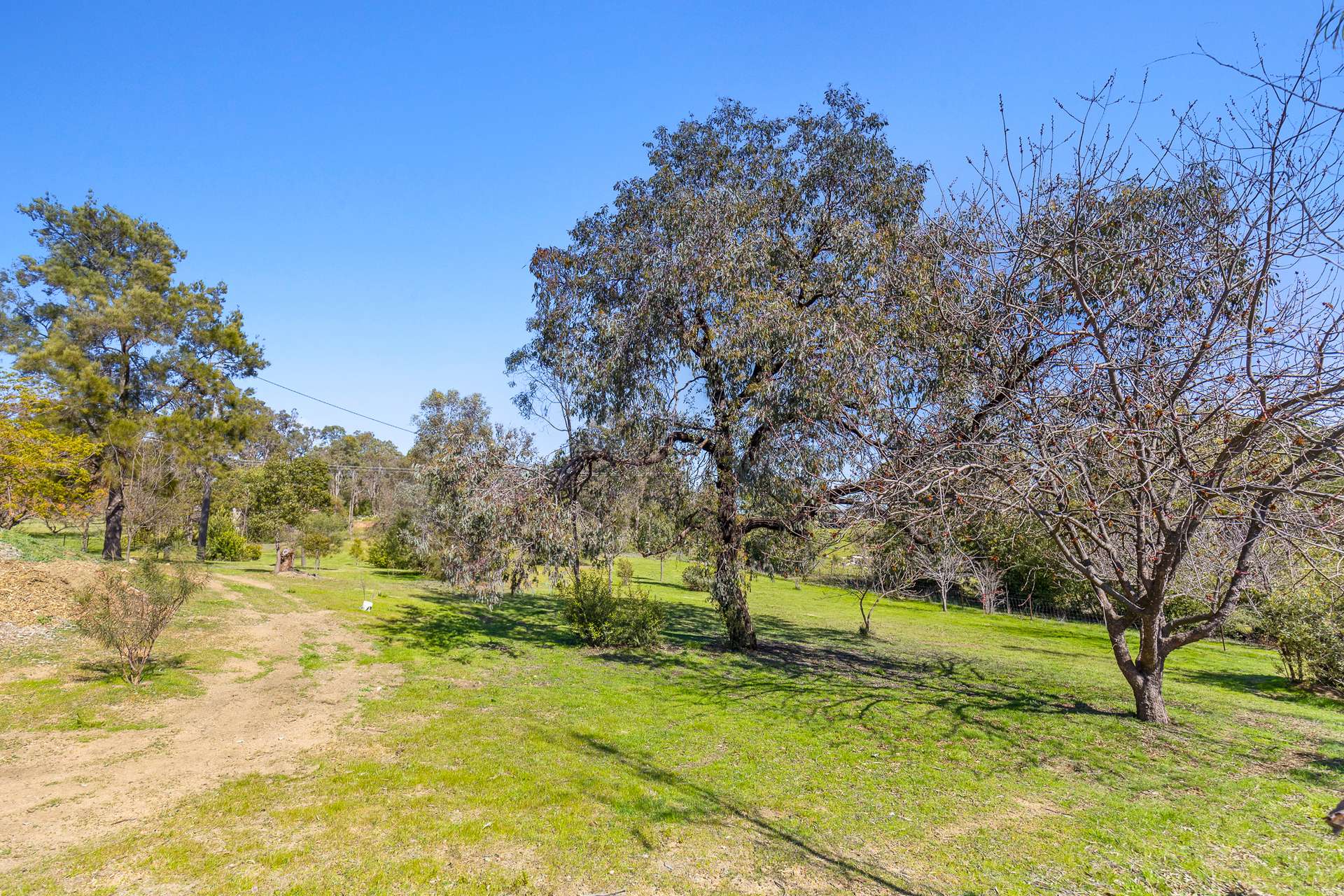 114 Bobadah Road, Mudgee For Sale by Farmbuy.com - image 19