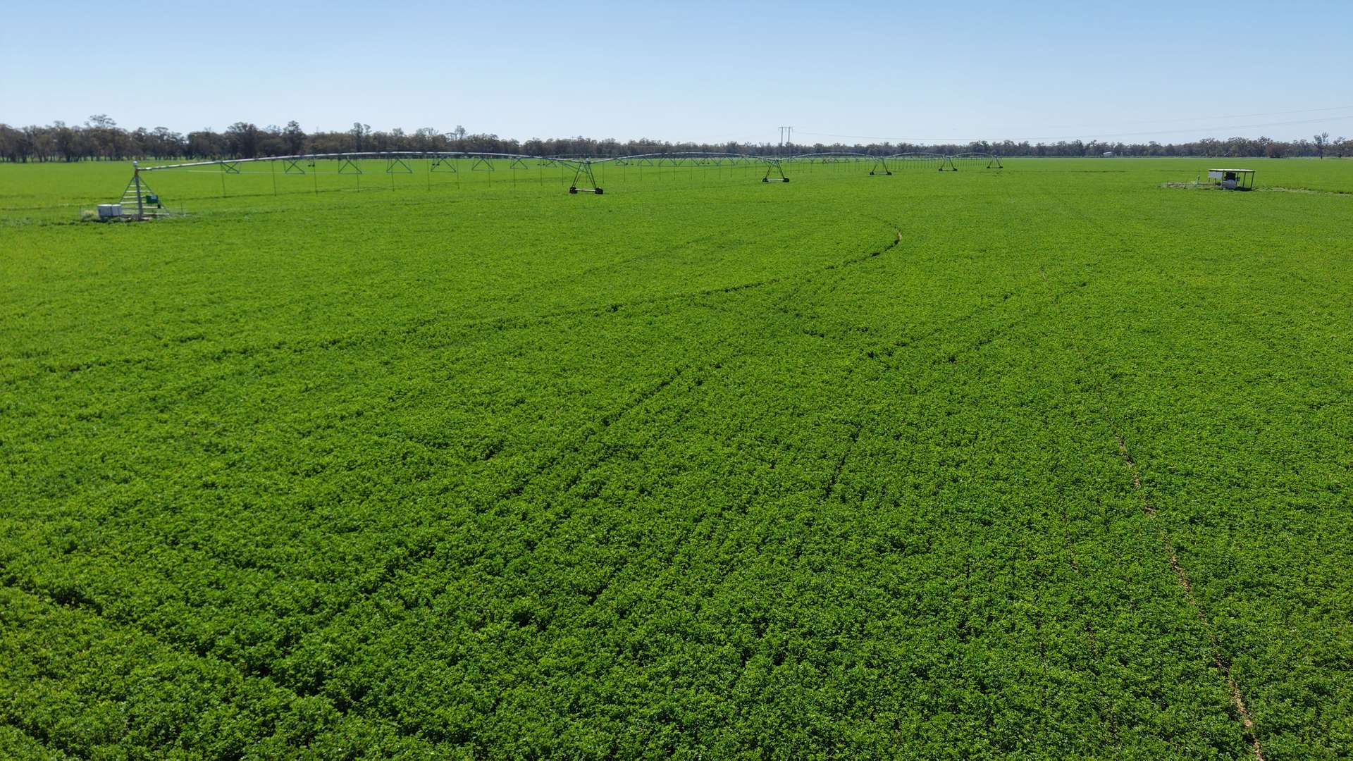 Tiagarra, 339 New Grenfell Road, Forbes For Sale by Farmbuy.com - image 4