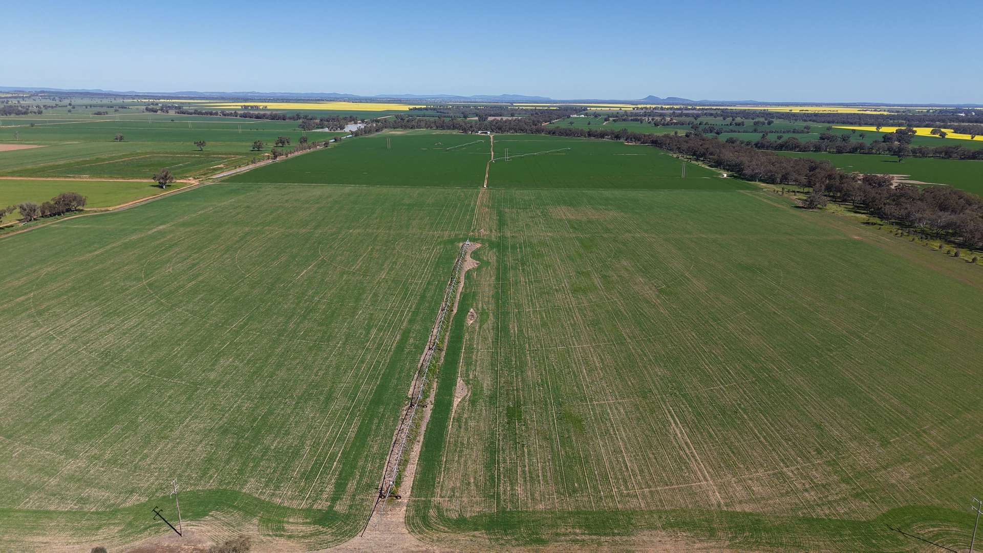 Tiagarra, 339 New Grenfell Road, Forbes For Sale by Farmbuy.com - image 19
