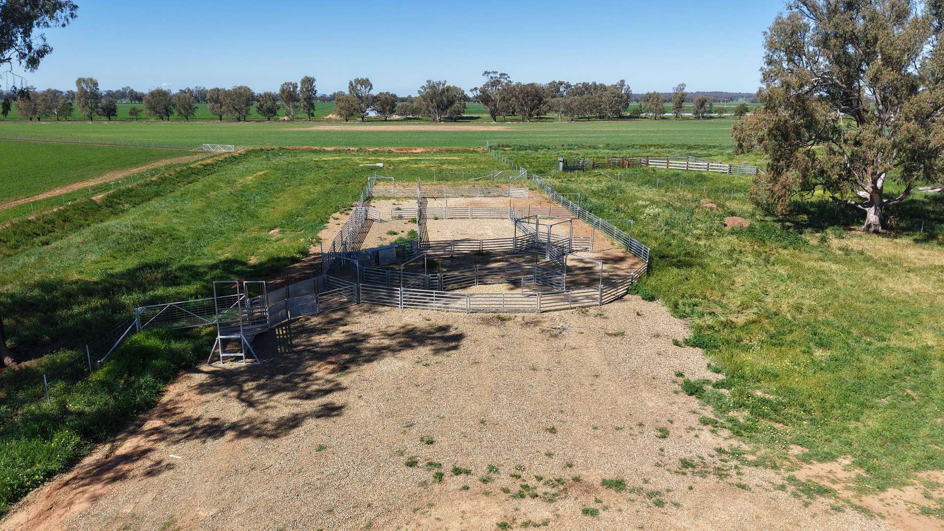 Tiagarra, 339 New Grenfell Road, Forbes For Sale by Farmbuy.com - image 16