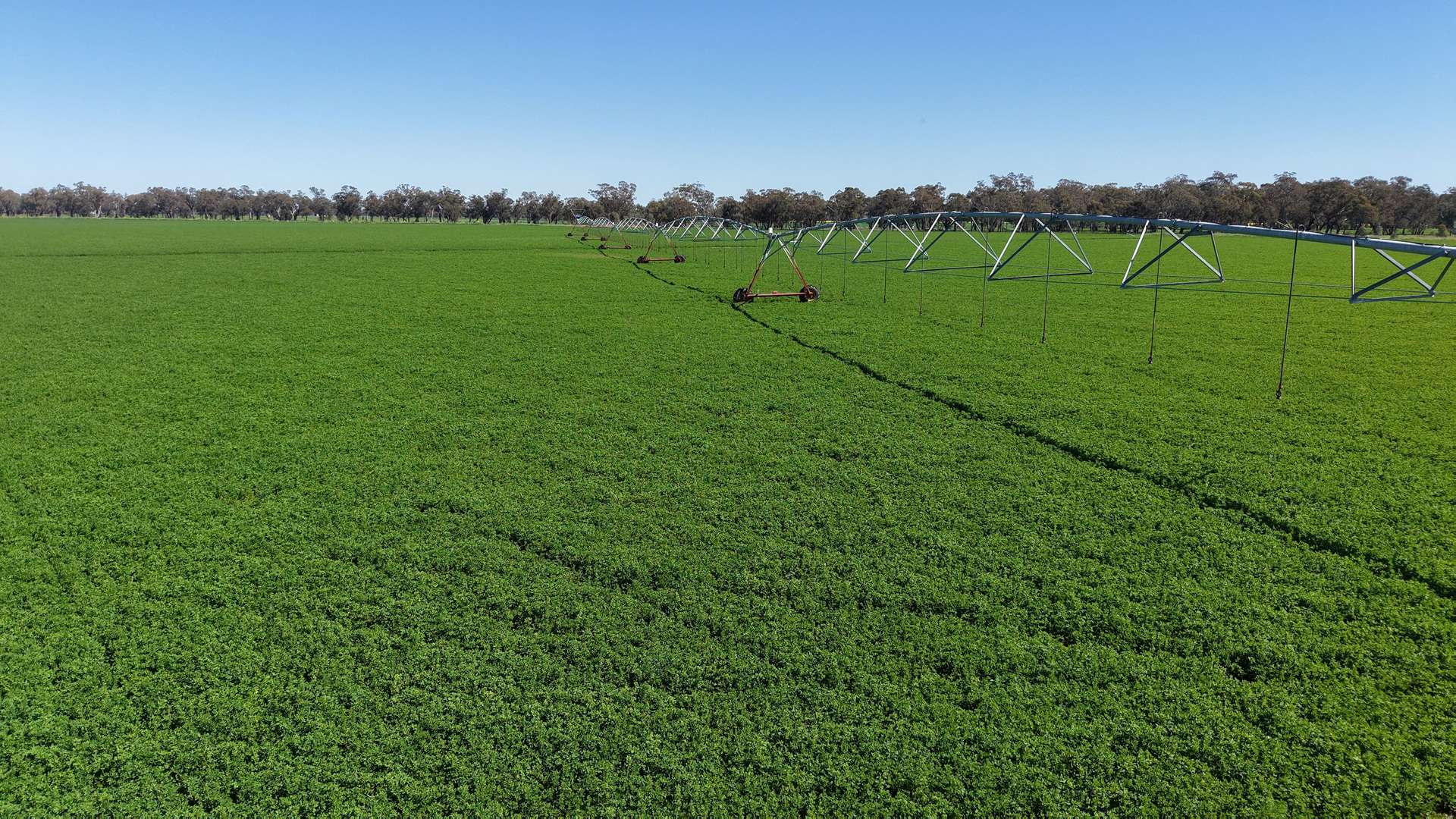 Tiagarra, 339 New Grenfell Road, Forbes For Sale by Farmbuy.com - image 6