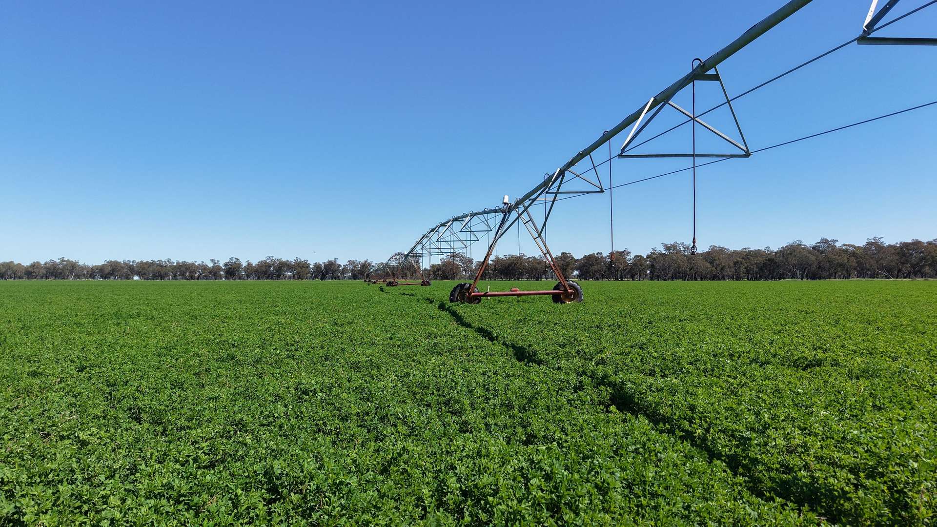 Tiagarra, 339 New Grenfell Road, Forbes For Sale by Farmbuy.com - image 1