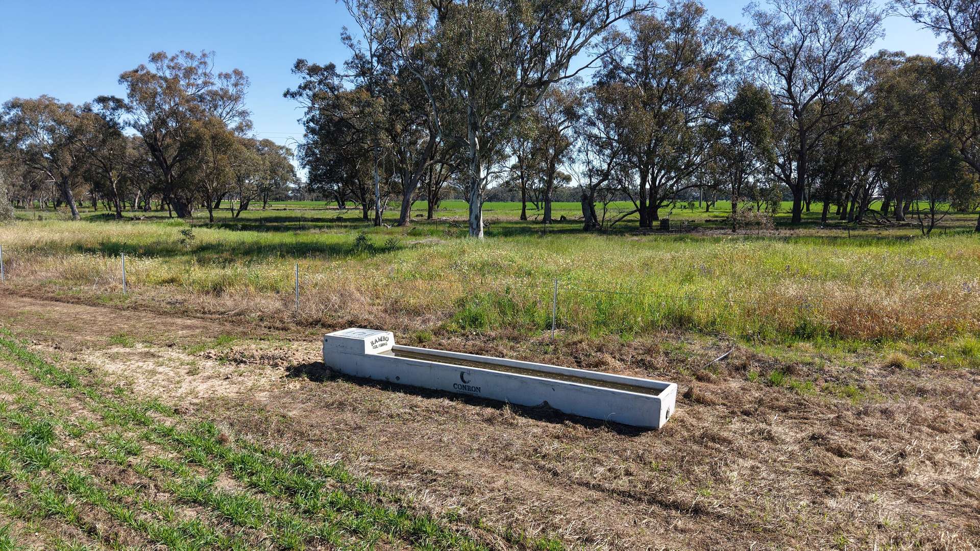 Tiagarra, 339 New Grenfell Road, Forbes For Sale by Farmbuy.com - image 13